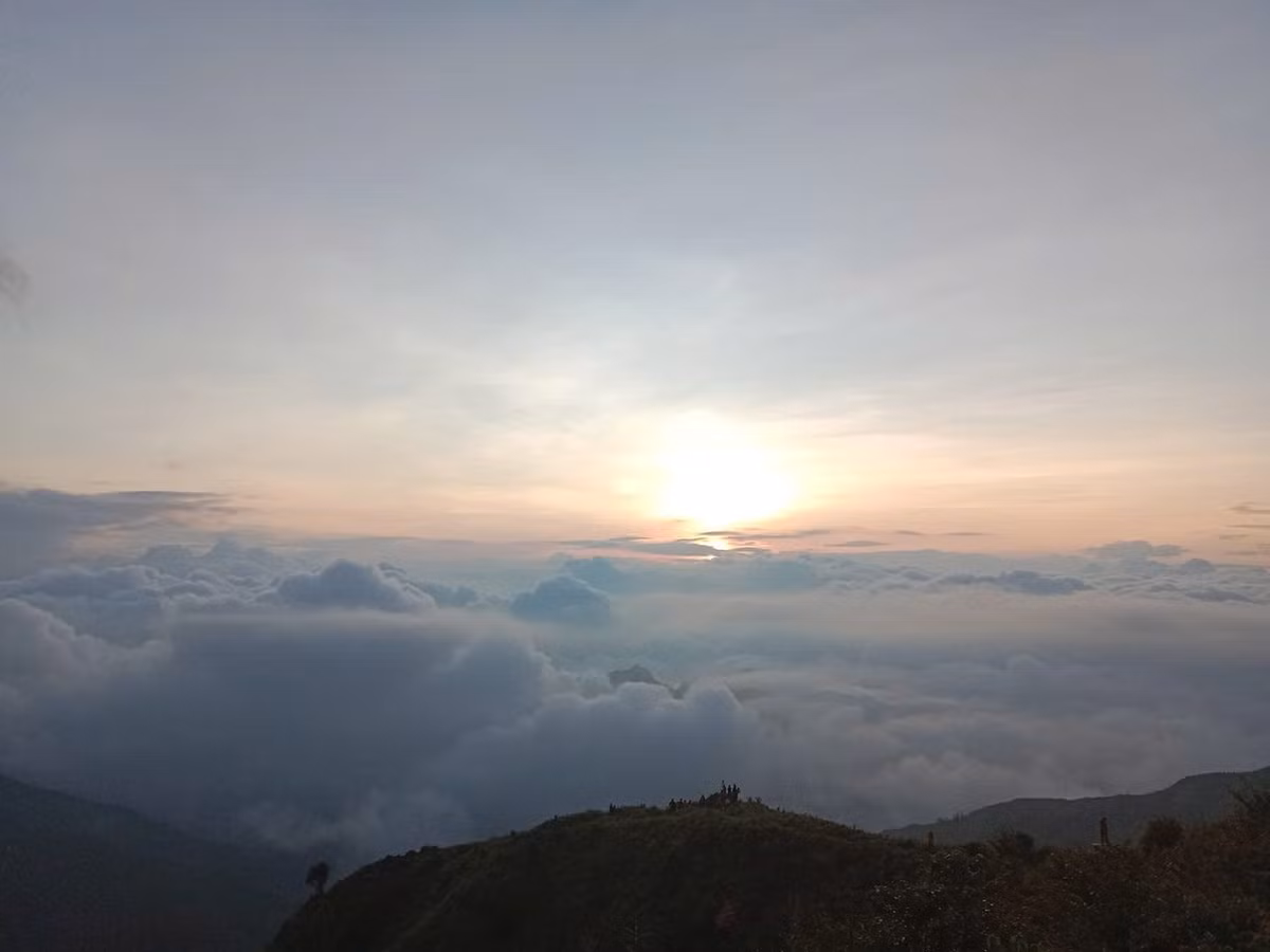 Đến Khe Phương, du khách sẽ được hít căng lồng ngực không khí trong lành và chiêm ngưỡng những ruộng bậc thang xanh mướt, uốn lượn theo sườn núi. Ảnh Am Váp Farm