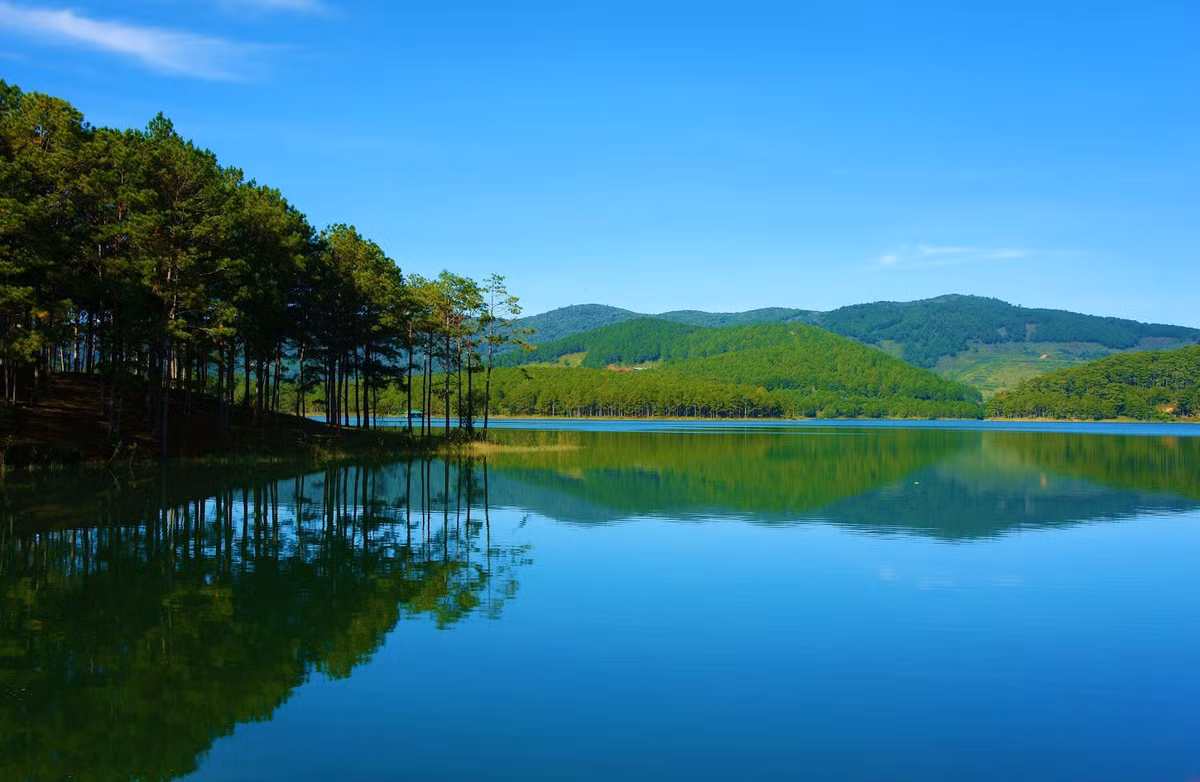 Du khách có thể thử chèo thuyền kayak trên hồ, tham gia câu cá hoặc thưởng thức cà phê tại những quán nhỏ ven hồ. Không gian rộng lớn và thanh bình của rừng thông khiến mọi hoạt động đều trở nên nhẹ nhàng, gần gũi với thiên nhiên. Ảnh dulich