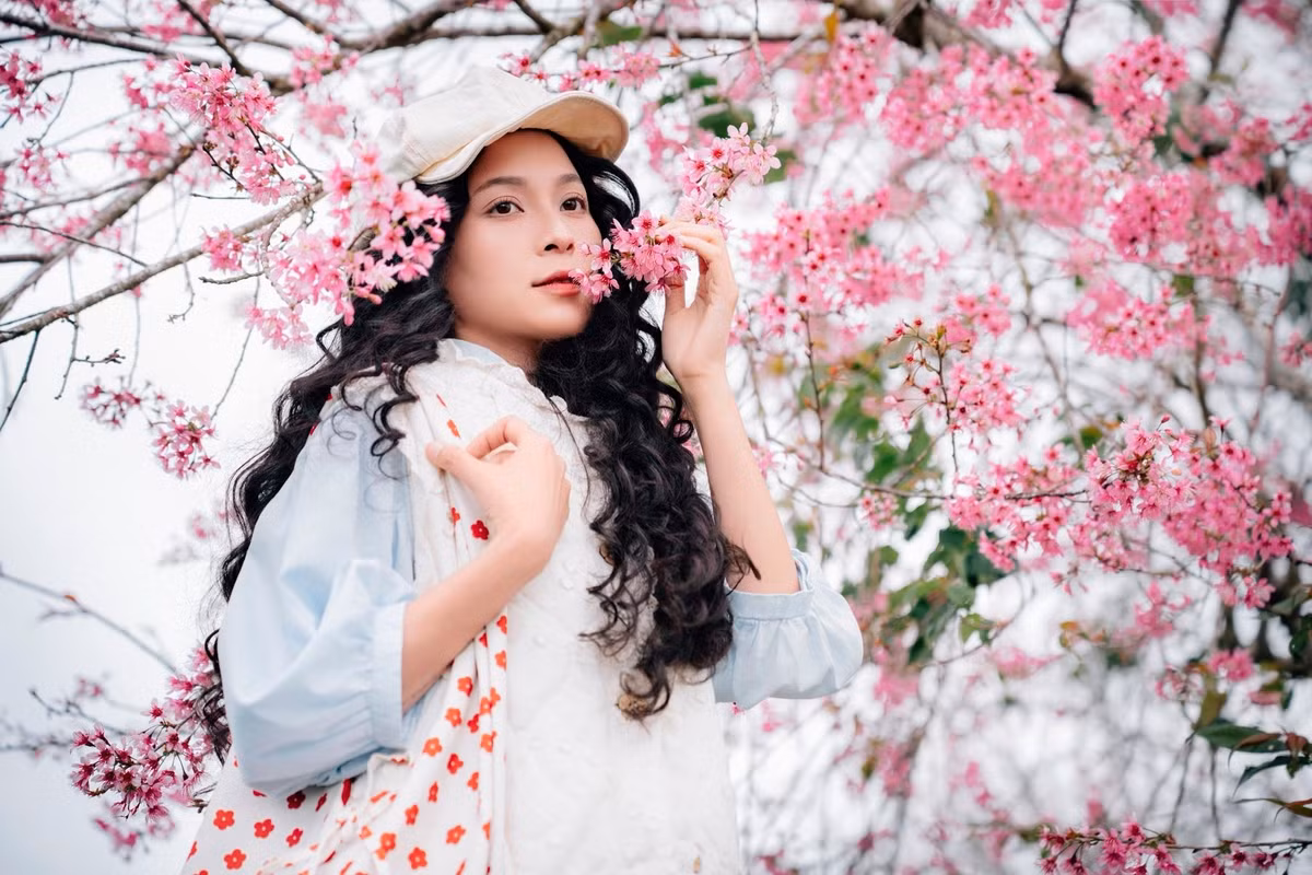 Ở phân khúc giá mềm hơn, nhiều công ty du lịch tổ chức tour Đà Lạt 3 ngày 3 đêm khởi hành từ TP.HCM, kết hợp tham quan các điểm hoa xuân, khu du lịch sinh thái, làng du lịch trải nghiệm, với mức giá khoảng 2,8–3 triệu đồng/người. Các tour này hướng tới nhóm bạn trẻ, gia đình nhỏ, ưu tiên chi phí hợp lý nhưng vẫn đảm bảo các điểm tham quan chính trong mùa mai anh đào. Ảnh Đồng Ngô