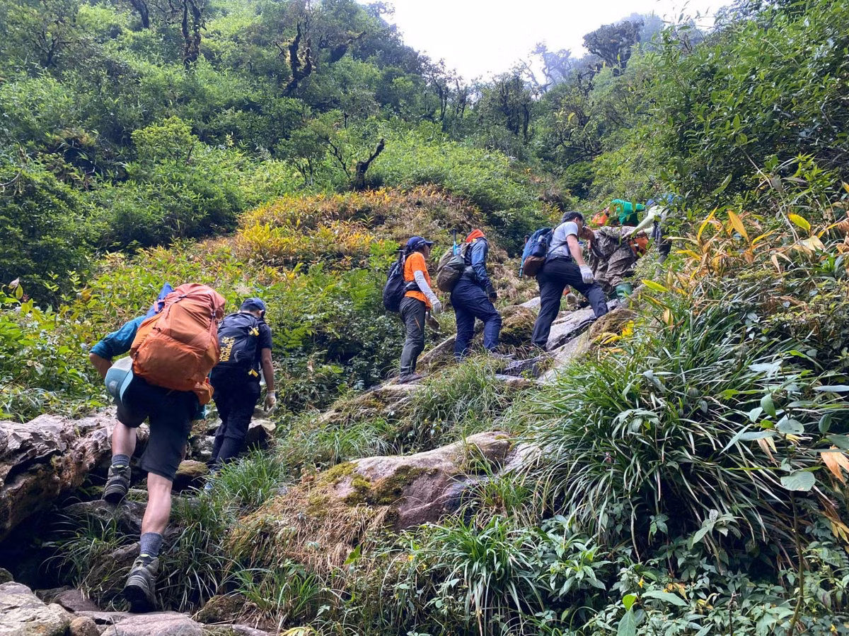 Trong khi đó, các đỉnh cao tại Lào Cai như Ngũ Chỉ Sơn, Bạch Mộc Lương Tử, Nhìu Cồ San hay Fansipan có độ cao lớn, địa hình rừng rậm, dốc sâu, đòi hỏi thể lực tốt và kinh nghiệm trekking. Riêng khu vực Lai Châu được xem là lựa chọn dành cho người dày dạn kinh nghiệm với các cung dài và khó như Putaleng, Tả Liên Sơn, Pusilung hay Pờ Ma Lung. Ảnh Internet﻿