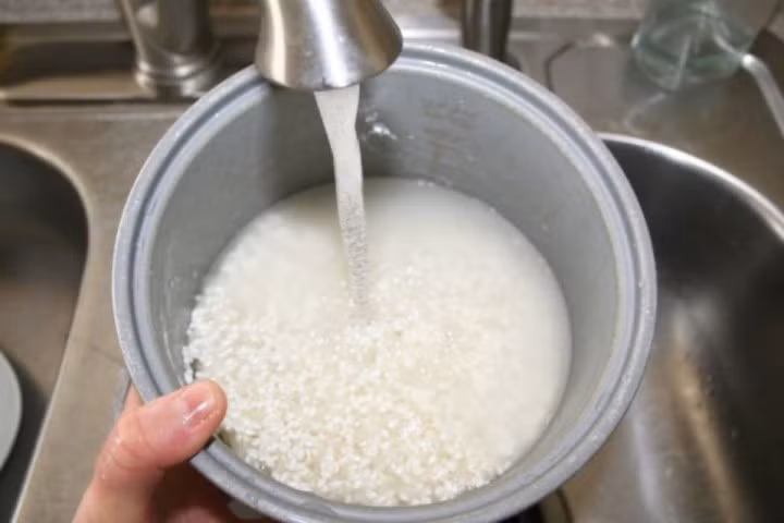 vo-gao.jpg