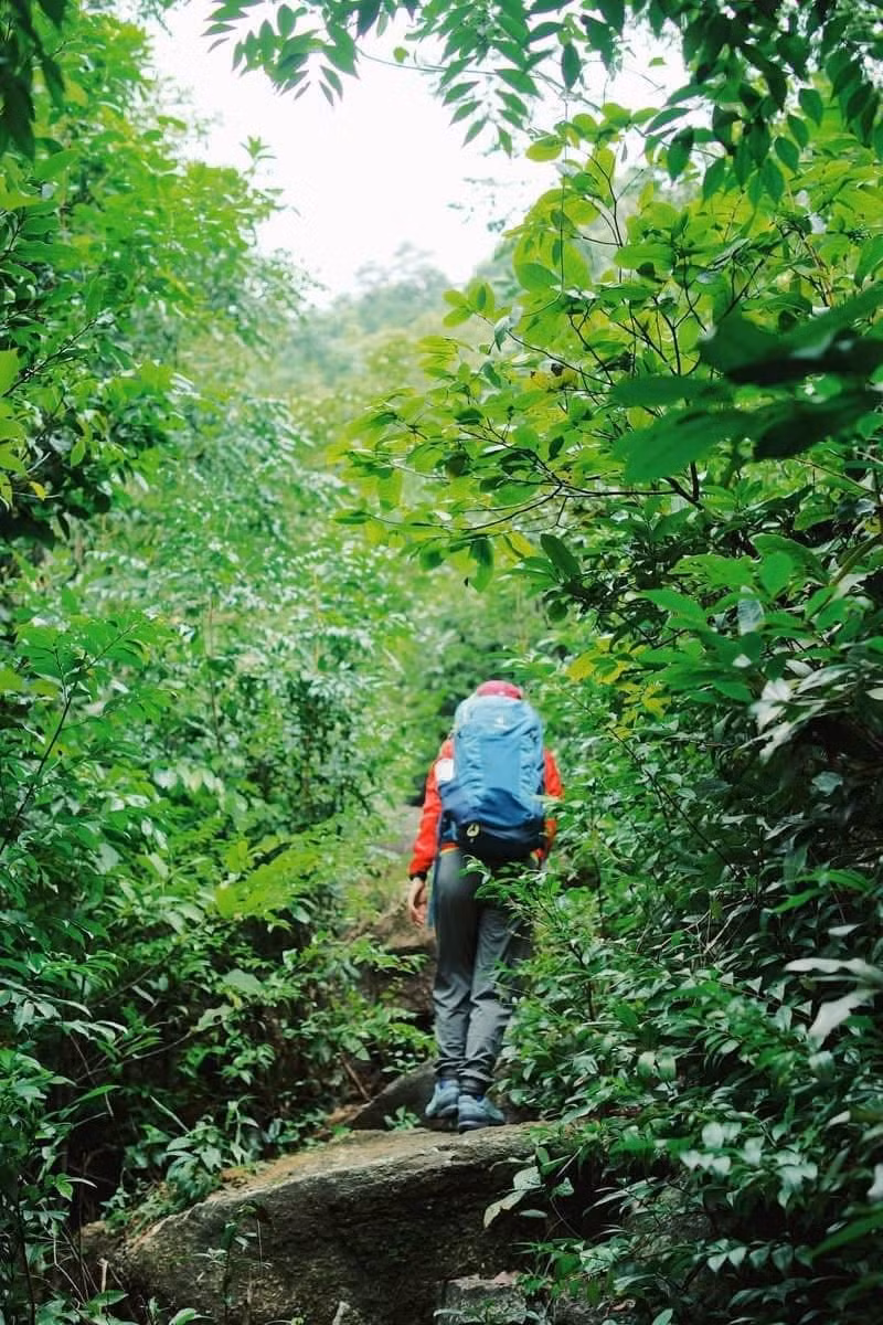 Hành trình leo núi dài khoảng 2,5 km, với hơn 2.000 bậc đá dẫn lên đỉnh cao 706 m. Ảnh Bùi Ngọc Hà
