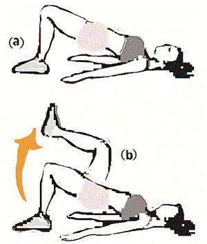  Tư thế bắc cầu: Nằm ngửa, hai đầu gối co lên, lòng bàn chân úp xuống sàn. Nâng mông lên để cơ thể tạo thành một đường thẳng từ vai đến đầu gối. Sau đó, nâng chân phải lên, đưa về hướng ngực (a). Giữ yên trong 2 giây, hạ chân xuống và lặp lại tương tự với chân trái (b).