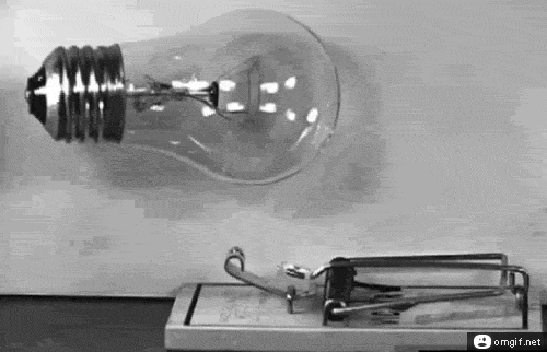 Chiếc bẫy chuột có lò xo được phát minh vào năm 1898 và hiện nay phát minh này vẫn được sử dụng. Đây là phát minh có thiết kế đơn giản nhưng lại mang đến hiệu quả cao.