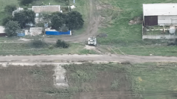 Cả Nga và Ukraine đều thừa hưởng lượng lớn xe tăng T-80BV thời Liên Xô, đem sử dụng trong cuộc xung đột đang diễn ra.