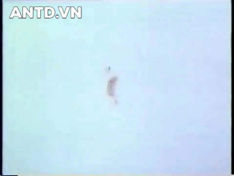 Tên lửa AIM-54 Phoenix được Mỹ phát triển từ thập niên 1960 nhằm đối phó với các oanh tạc cơ tầm xa của Liên Xô. Mẫu tên lửa không đối không tầm xa này là vũ khí chủ lực của tiêm kích F-14, mỗi máy bay có thể mang được 6 quả tên lửa dưới cánh và bụng.