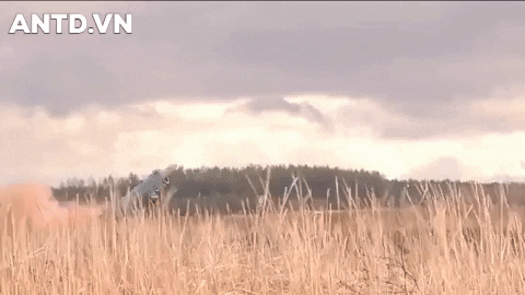 Kiev coi tên lửa Neptune là "siêu vũ khí" của nước này trong xung đột tiềm tàng với Nga. Trước đó, chỉ huy lực lượng Hải quân Ukraine Oleksiy Neizhpapa đã khẳng định rằng đây là bước đột phá trong lĩnh vực chế tạo tên lửa diệt hạm.