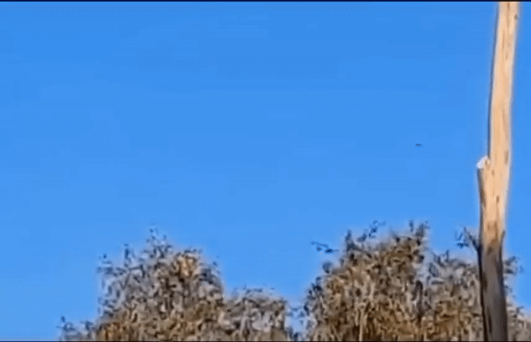Phía Nga cũng tương tự, các nhà máy lắp ráp UAV quân sự của Moscow đang hoạt động 3 ca hết công suất, để đáp ứng đủ nhu cầu của chiến trường. Thậm chí phương Tây còn cáo buộc, Nga đã mua UAV từ Iran để sử dụng tại Ukraine.