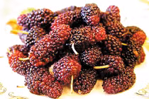 Dâu chín bổ gân cốt