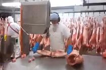 Xem công đoạn xẻ thịt lợn quá nhanh quá nguy hiểm