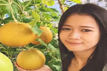 “Phát thèm” giàn dưa lưới trĩu quả của 9X Sài Thành
