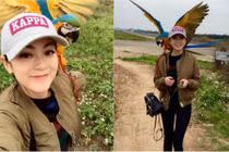 Chuyện "dở khóc dở cười" của thiếu nữ xinh đẹp mê chơi chim
