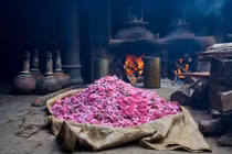 Trăm điều ngỡ ngàng chỉ có ở thủ đô nước hoa lâu đời nhất Ấn Độ