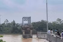 Đề xuất xây mới cầu Phong Châu bằng vốn ngân sách Nhà nước