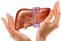Thói quen phổ biến, ai ngờ hại gan khủng khiếp hơn rượu mạnh