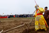 Hàng nghìn người dân đổ ra đồng chiêm ngưỡng... “vua” 89 tuổi cày ruộng 