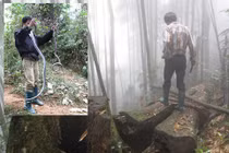 Rùng mình cảnh tay không bắt rắn hổ mang chúa trong rừng sâu Lào Cai 