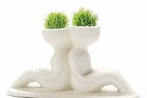 Quà lãng mạn giá bèo cho 8/3