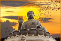 Phật không thấy ai là kẻ thù