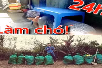 Thử thách dọn rác và cú tát với giới Youtuber “bẩn” Việt Nam