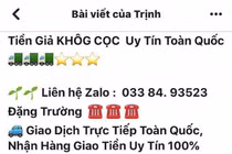 Công khai rao bán tràn lan tiền giả trên mạng
