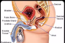 15 dấu hiệu nhận biết ung thư ở nam giới