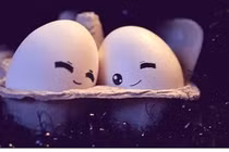 Ngộ nghĩnh khi trứng ở một thế giới khác