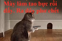 Khi động vật tỏ ra “nguy hiểm” (P8)