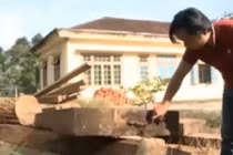 Phát hiện hàng chục mét khối gỗ chôn gần xưởng mộc