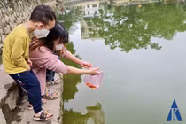 Thú vị khoảnh khắc người dân "chào" cá khi phóng sinh
