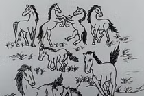 Trắc nghiệm tâm lý: Bạn có thể tìm thấy người đẹp trong 10 giây? 