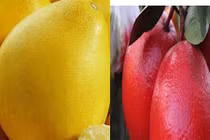 Những giống bưởi lạ dự báo bùng nổ dịp Tết 2017 