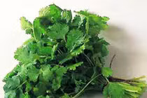 Mùi tây, hương nhu chữa hôi miệng