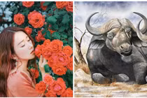 Tử vi ngày 15/10/2020 cho 12 con giáp: Quý nhân yêu thương, Thìn vượng phát