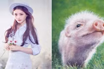 Cuối tháng 8/2022: Bốn con giáp Thần Tài thả núi vàng, trúng số độc đắc