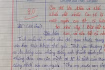 Bài văn 9 điểm về tình mẫu tử gây xúc động