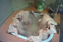 Những màn siêu quậy với bồn rửa