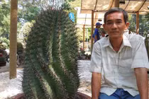 Bộ sưu tập khủng của "vua xương rồng miền Tây"