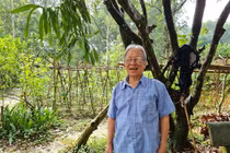 Kỹ sư Lê Quang Liên: Người đầu tiên đưa cây luồng di thực, “đổi đời” người dân