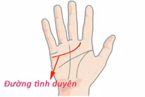 Nắm tay lại nhìn vào đường vân biết trước tài lộc, tình duyên 