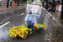 Từ tháng 3, miền Bắc chuyển lạnh, mưa phùn thường xuyên