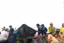 Nhìn lại cảnh VN oằn mình chống chọi với thiên tai năm 2013