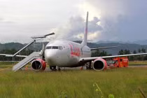 Indonesia: Máy bay gặp nạn vì “chẹt” bò trên đường băng