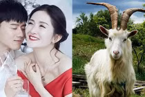 4 con giáp nam bên ngoài lạnh lùng bên trong thương vợ nhất quả đất