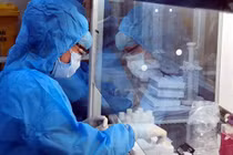 Một phụ nữ bán rau ở Đông Anh dương tính nCoV, chưa rõ nguồn lây