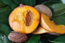 Khám phá giống táo lõi vàng độc lạ