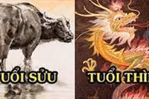 Tuần mới 28/3-3/4/2022 của 12 con giáp: Sửu may ít rủi nhiều, Thìn tăng thu nhập