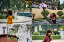 Giới trẻ Hà Thành đắm chìm trong mùa hoa của núi rừng