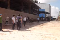 PCT huyện Cẩm Giàng: “Cty Giầy Cẩm Bình coi thường từ tỉnh đến huyện”
