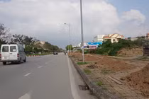 TP Hải Dương gấp rút thay thế hơn 700 cây xanh trên đường Trường Chinh